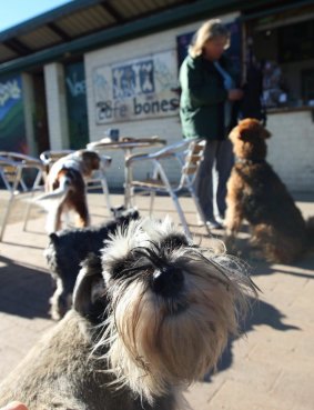 Jacqueline McKenzie likes to visit Cafe Bones in Leichardt, and let her dog run around Hawthorne Canal Reserve.