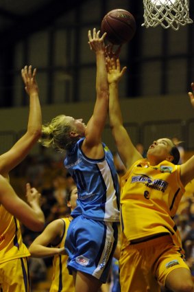 Canberra Capitals skipper Abby Bishop was named the WNBL player of the month for November.