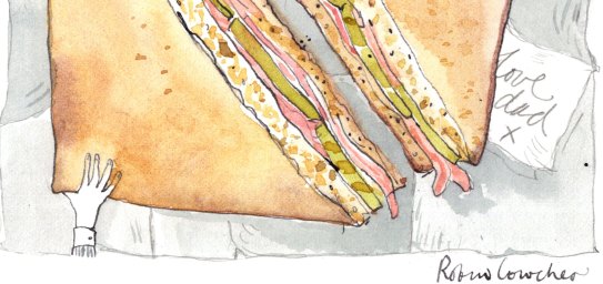  Illustration: Robin Cowcher