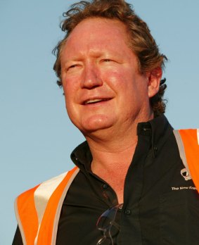 Twiggy Forrest's cap idea has been labelled 'hare-brained' in some quarters.