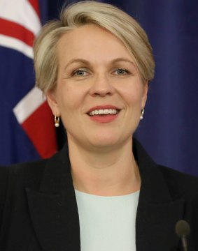 Deputy Labor leader Tanya Plibersek.