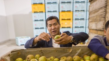 Winha chairman Jackie Chung visiting a Shepparton pear farm.