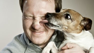 Scientists Test Whether Dogs Or Cats Love Humans More