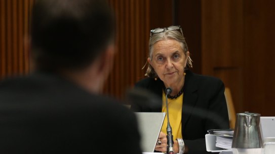 Greens Senator Lee Rhiannon.