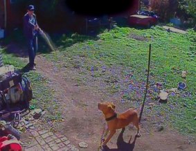 A screenshot from the security vision at the property. 