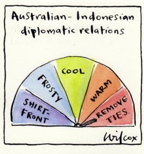 Shirt fronters never last, but the co-operators do. Illustration: Cathy Wilcox