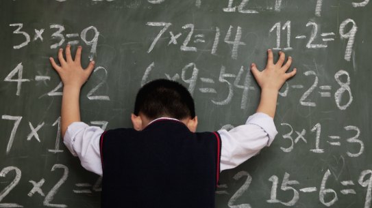 'Maths is so often being rote learned and kids have a fear of it': a group of teachers are leading a transformation in the way maths is taught.