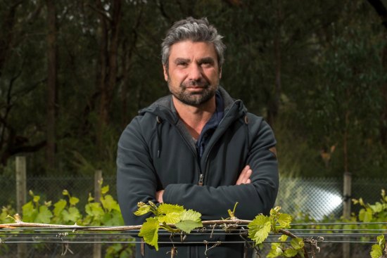 '[Pinot blanc] is a wine you can just drink for enjoyment's sake': Hoddles Creek Estate's Franco D'Anna.