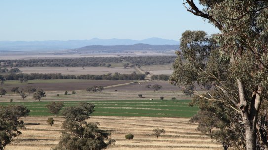 Liverpool Plains are home to some of Australia's - if not the world's - richest soil.