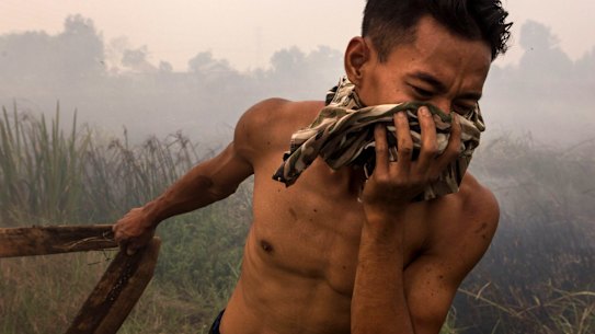 A firefighter holds a water pipe on burned peatland and fields at Sungai Rambutan village, South Sumatra.