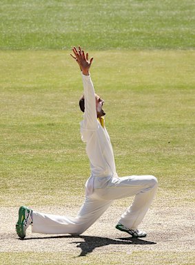 Appealing position: Nathan Lyon appeals unsuccessfully for the wicket of Murali Vijay.