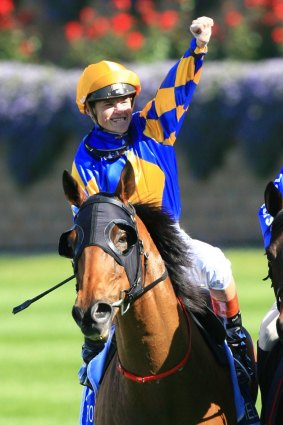 Craig Williams on Fields Of Omagh after winning the Cox Plate in 2006.