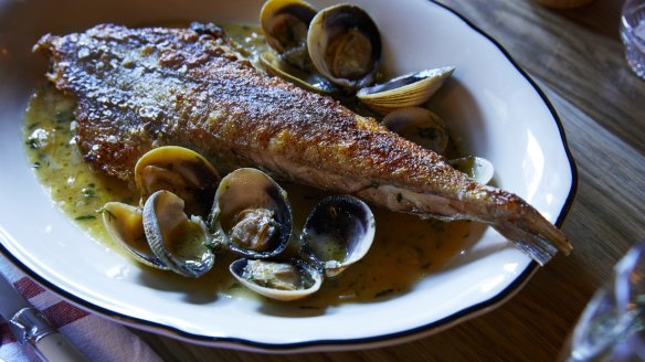 Whole flathead with clams and garlic.