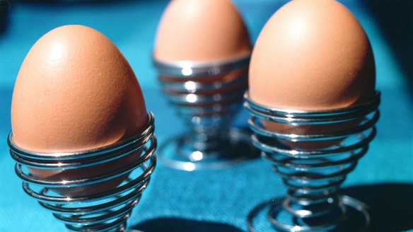 Eggs produced by chickens fed only grains and vegetable products are marketed as "vegetarian eggs".