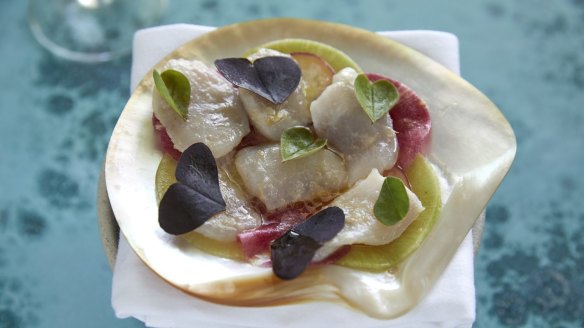 Pearl meat with radish and Alto Novello Olive Oil.