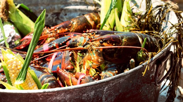 Preparing the lobsters, clams and vegetables for a beachside clam bake.
