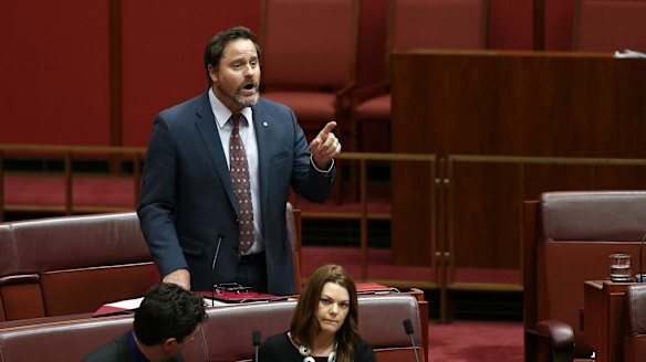 Greens senator Peter Whish-Wilson.