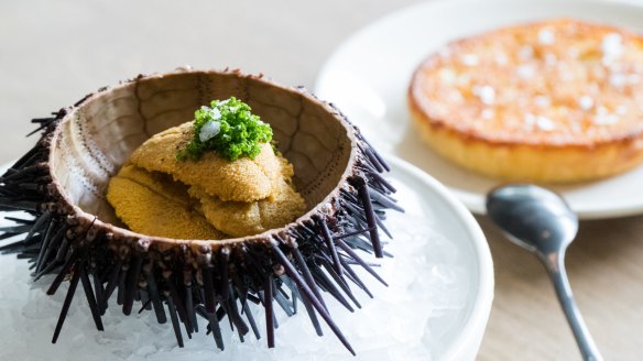 Good Food. Saint Peter; 362 Oxford St, Paddington. Urchin crumpet. Photograph by Edwina Pickles. Taken on 7th March 2017.