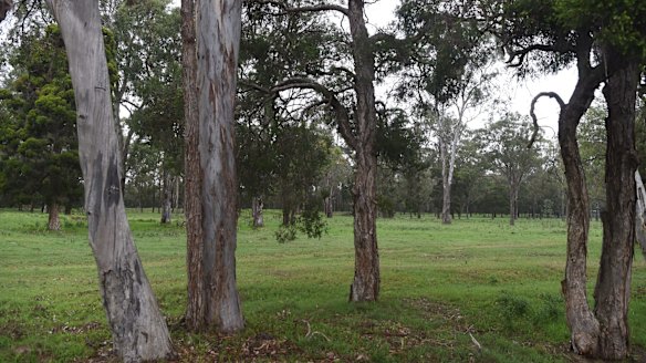 A "mini suburb" is planned for the Riverlands site in Sydney's south-west.