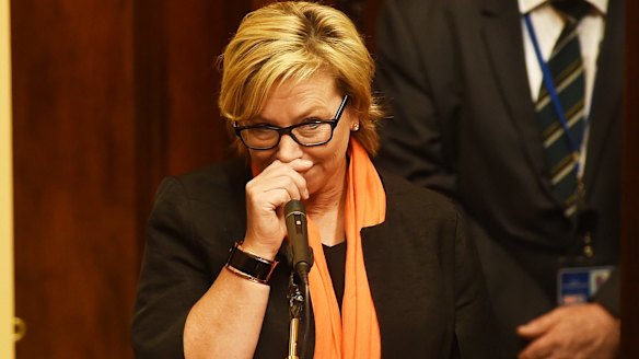 Rosie Batty addressing the joint sitting of  the Victorian Parliament on Thursday.