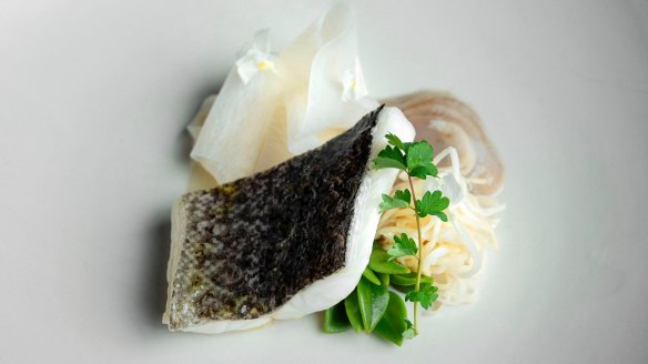 Steamed Murray cod with chilled angasi oyster and white radish at Aria.