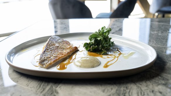 Murray cod with salmoriglio and ice plant. 