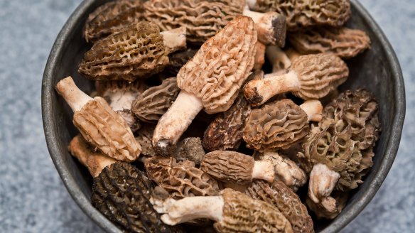 Morchella mushrooms cannot be eaten raw as they contain a powerful toxin, hydrazine.