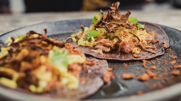 Caribbean style beef taco.