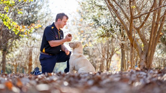 Australian Truffle Traders' Gavin Booth and sniffer dog Molly.