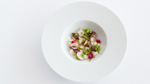 Aria Brisbane's goat curd with poached pear, broad beans, radish and candied walnuts.