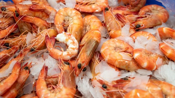 Fresh-cooked Clarence River prawns will be ready for Easter shoppers.