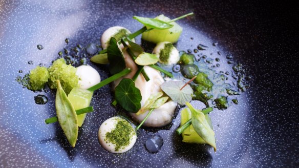 Oyster, cucumber and arrow grass from Michelin-starred Aniar.