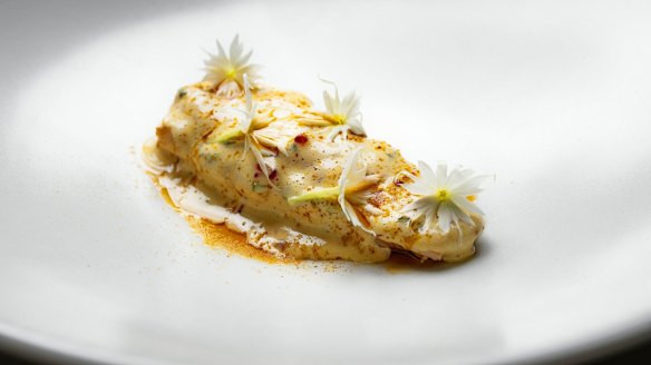 Grilled marron with 'nduja butter and white onion flowers.