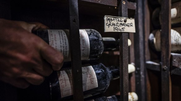 Dusty bottles fill the cellar.