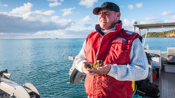 Flinders Oyster Company founder Steven Cooper, who is putting Western Port Bay angasi oysters back on Victorian menus.