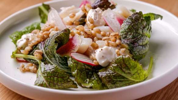 Salted cod with barley, radishes and mustard leaves.