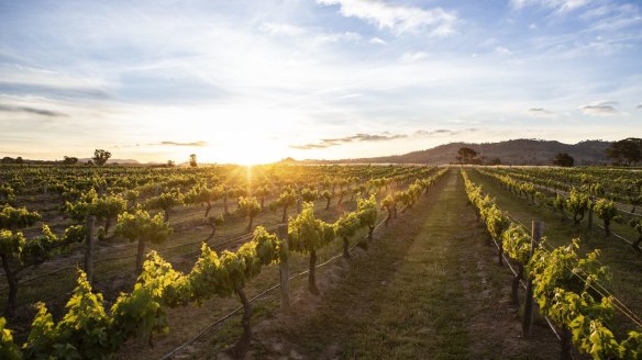 Mudgee is a high-quality wine region that has a long and proud history.