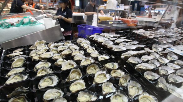 Sydney rock oysters at Sydney Fish Market.