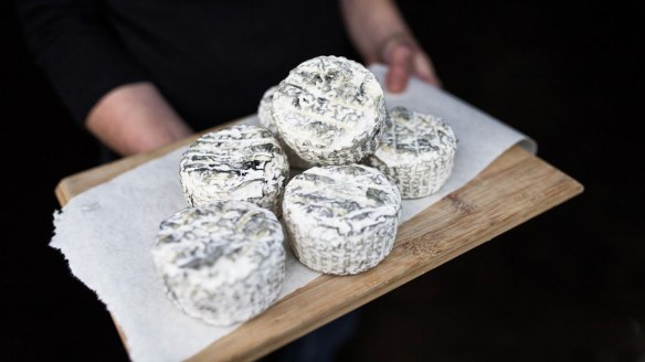 Mould-ripened cheese from Pecora Dairy.