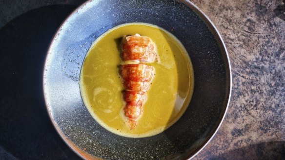 Marron in native Australian curry broth.