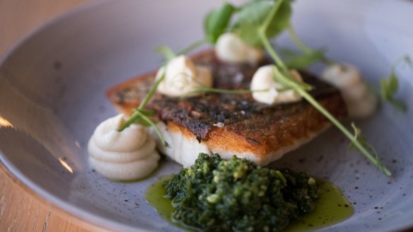 Cone Bay barramundi with cauliflower and salsa verde. 