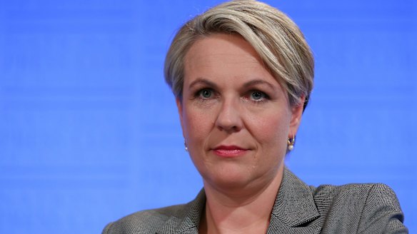 Deputy Opposition Leader Tanya Plibersek addresses the National Press Club.