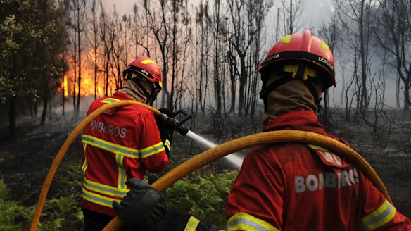 Bombeiros fight to stop the forest fire from reaching the village of Figueiro dos Vinhos. The wildfires claimed 64 lives.