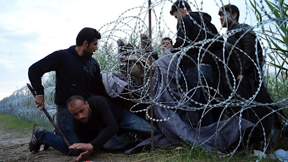 Syrian refugees cross into Hungary underneath the border fence on the Serbian border near Roszke.