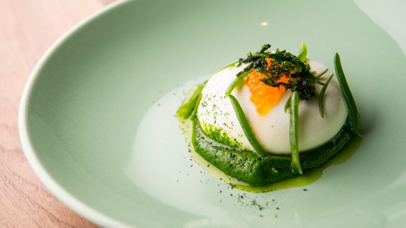 Cow milk burrata, nettle, sea vegetables and trout roe.