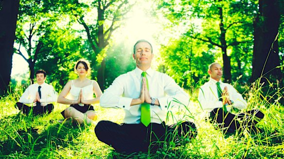 Looks lovely, but not everyone can take a meditation break on the job.