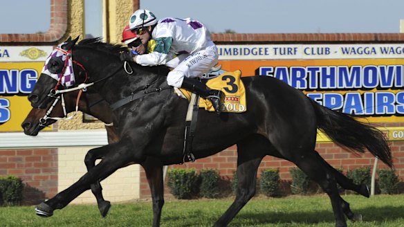 Best places to watch country horse racing in Australia: Beyond the ...