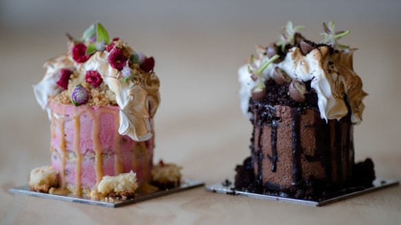 Scaled down versions of Andy Bowdy signature cakes, Tony (left) and Jasper. 