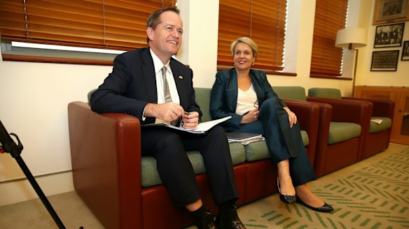 Opposition Leader Bill Shorten announced late on Tuesday that he will introduce a private member's bill on same-sex marriage next week. His deputy Tanya Plibersek will co-sponsor it.