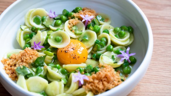 Orecchiette with peas, green garlic, pangrattato. 